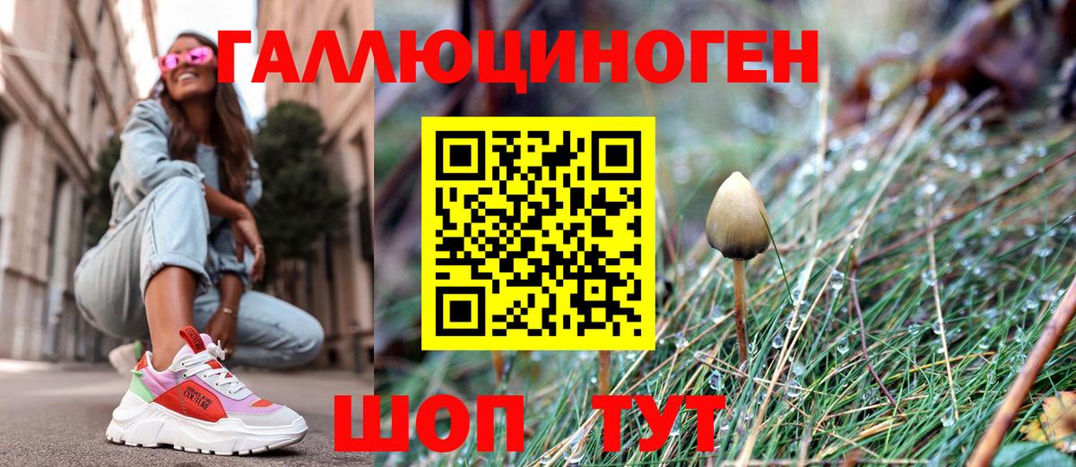 Галлюциногенные грибы Psilocybe Лысьва