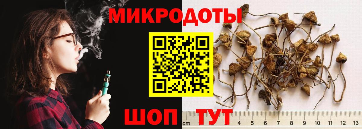 Лысьва  Псилоцибиновые грибы Cubensis  Вход с VPN 
